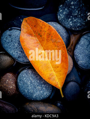 Herbst und friedliche Konzepte. orange Blätter fallen auf River Stone. Abstrakt Hintergrund von Herbstlaub auf schwarzem Stein mit Wasser tropfen. Stockfoto