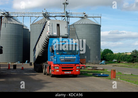 Erf in Silos Stockfoto