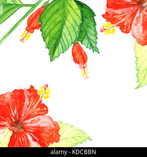 Aquarell blühende rote Hibiskus Stockfoto