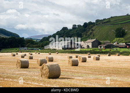 Runde Heuballen im unteren Swaledale, North Yorkshire England. einen sonnigen Tag im September. Stockfoto