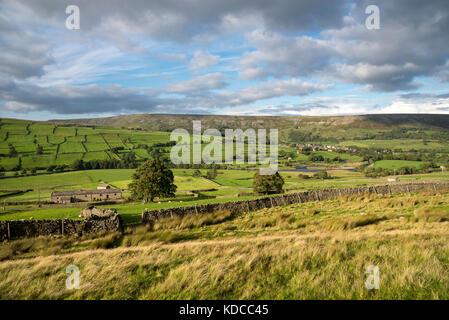 Die schöne Landschaft rund um reeth in swaledale, North Yorkshire, England. Stockfoto