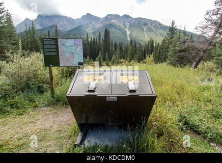 Bär - Nachweis Mülltonnen im Kananaskis Berge. Stockfoto