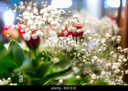 Weiß gypsophila Babys atmen Bristol Märchen Blumen close up in a Wedding Bouquet Stockfoto