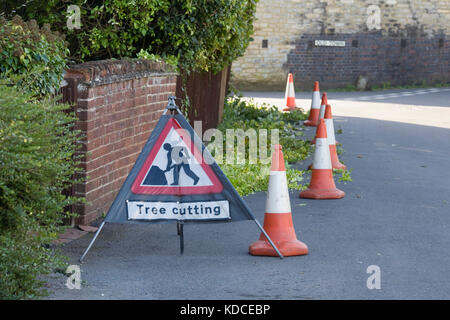 Zurück schneiden überwachsene Sträucher auf einer öffentlichen Straße. Stockfoto