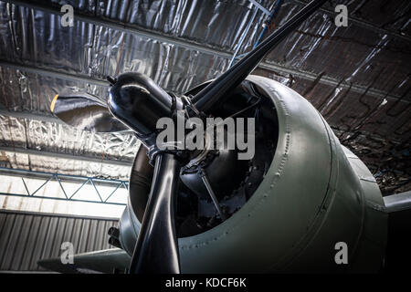 Altes Flugzeug propeller Motor closeup Stockfoto