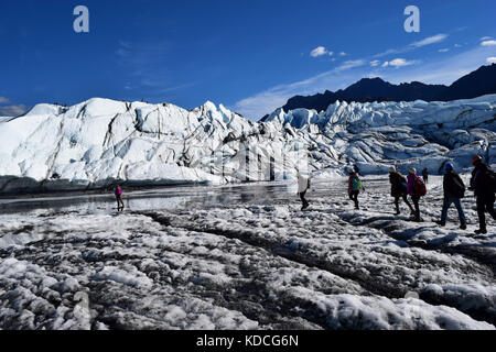 Matanuska Gletscher in Alaska Stockfoto