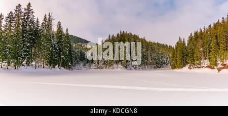 Panorama der Wald im Winter berge fichte. traumhafte Natur Landschaft Stockfoto