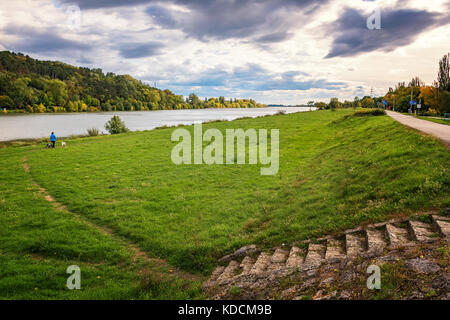 Ufer des Flusses Vah in Piestany (Slowakei) - Frau mit Hunde Stockfoto