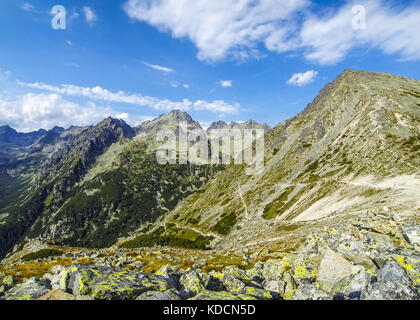 Malerische Sommer angesichts der Hohen Tatra in der Nähe von Popradske Pleso, Slowakei Stockfoto