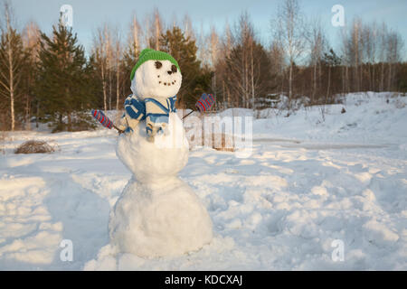 Lustige Schneemann in Mütze und Schal in einem Wald Stockfoto