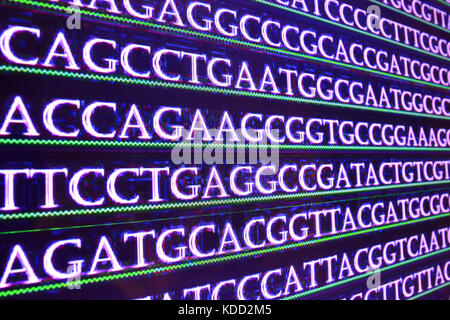Die Sequenzierung des Genoms. Abfolge der Basen in der DNA. Stockfoto