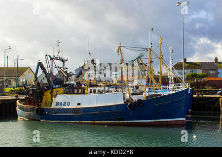 Trawler, die in der kleinen Hafen in der Ards Halbinsel Dorf Portavogie, County Down, Nordirland Stockfoto