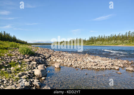 Sauber, schöner Fluss in den polaren Ural. Wasser Landschaft im Norden von Russland im Sommer. Stockfoto