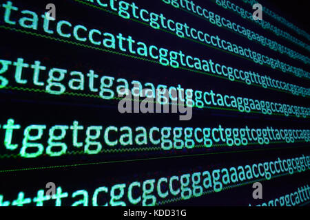 Die Sequenzierung des Genoms. Abfolge der Basen in der DNA. Stockfoto