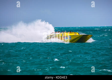Gelb speed boot in Miami, Florida Stockfoto