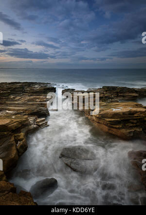 Abend der felsigen Küste von Northumberland Küste bei Seaton Sluice in Richtung Blyth Stockfoto