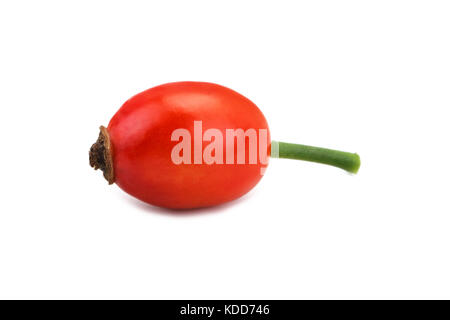 Dogrose Beeren auf einem weißen Hintergrund. Stockfoto