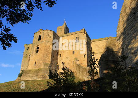 Betrachten oben Warkworth Castle auf seiner Stange hoch über dem Fluß Coquet im hellen Sonnenschein, abends Warkworth, Northumberland, Großbritannien Stockfoto