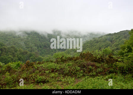 Niedrige Wolken und Regen über Dunkery Beacon von unten aus dem Parkplatz an Webbers Post in Somersets Exmoor National Park gesehen Stockfoto