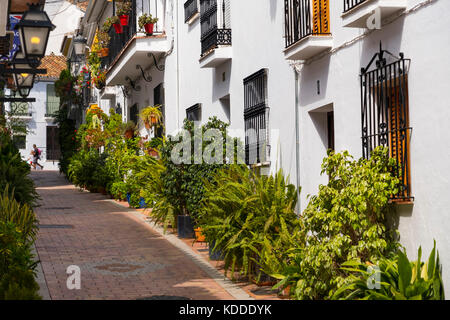 Typische Straße mit Blumen, Benalmadena. Provinz Málaga, Costa del Sol, Andalusien. Südspanien Europa Stockfoto