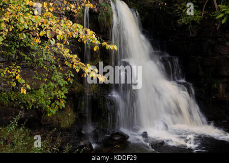 Die oberen Wasserfälle des East Gill Force Wasserfalls in den Yorkshire Dales Stockfoto