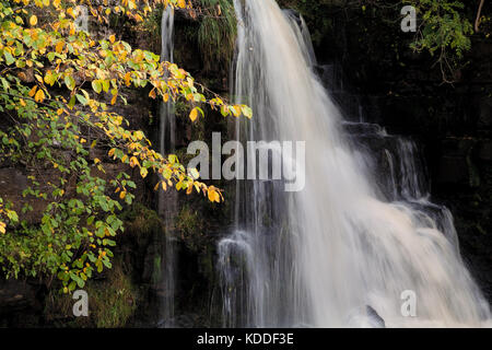 Die oberen Wasserfälle des East Gill Force Wasserfalls in den Yorkshire Dales Stockfoto