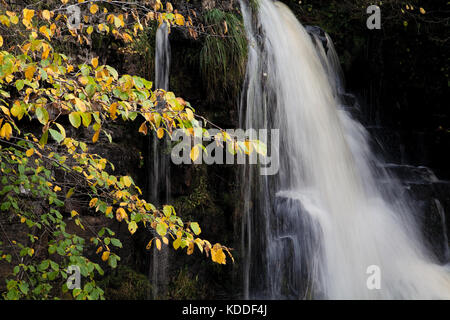 Die oberen Wasserfälle des East Gill Force Wasserfalls in den Yorkshire Dales Stockfoto