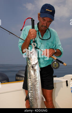 Ein Fischer mit einem kingfish oder König Makrele gefangen, während Fliegenfischen offshore von Freeport, Texas Stockfoto