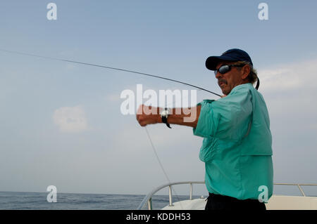 Ein Fliegenfischer seine Rute und Suchen nach kingfish auf ein Unkraut line Offshore von Freeport, Texas Stockfoto