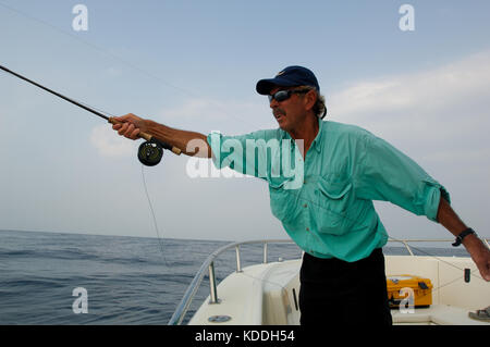 Ein Fliegenfischer seine Rute und Suchen nach kingfish auf ein Unkraut line Offshore von Freeport, Texas Stockfoto