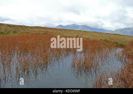 Snowdon aus moel siabod Spaziergang Stockfoto