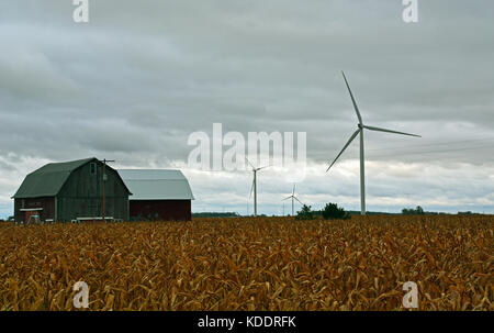 Windräder drehen über maisfelder Warten auf einem trostlosen Herbst Tag im Oktober in North Central Michigan geerntet werden. Stockfoto