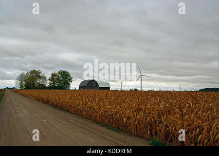 Windräder drehen über maisfelder Warten auf einem trostlosen Herbst Tag im Oktober in North Central Michigan geerntet werden. Stockfoto