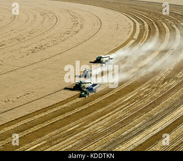Luftaufnahme von drei John Deere Mähdrescher ernten 95 - 100 bu. Weizen in Texas Panhandle Stockfoto
