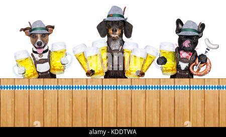 Bayerischen deutschen Reihe oder einer Gruppe von Hunden mit Brezel, Bierkrug, Flagge, Würstchen und Lebkuchen Herz, auf weißem Hintergrund, bereit für die werden. Stockfoto