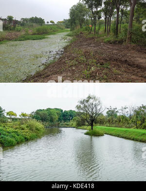 Wuxi. Oktober 2017. Combo-Foto im Juni. 24, 2016 (oben, Dateifoto) und am 12. Oktober 2017 (unten) zeigt den Fluss Gujiadu im Bezirk Binhu in Wuxi, der Provinz Jiangsu im Osten Chinas. Der Distrikt Binhu begann 2008, lokale Regierungsbeamte als Flussoberhäupter zu ernennen, um die Wasserverschmutzung zu bekämpfen. Die Wasserqualität der Flüsse wurde nach einer Reihe innovativer Maßnahmen rasch verbessert. Quelle: Shen Bohan/Xinhua/Alamy Live News Stockfoto