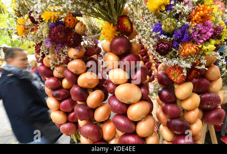 Weimar, Deutschland. Oktober 2017. Die traditionellen, geflochtenen Zwiebelsträucher hängen am 364. „Weimarer Zwiebelmarkt“ in Weimar am 13. Oktober 2017. Das berühmteste Volksfest Thüringens zieht bis zum 15. Oktober rund 300,000 Besucher an. Rund 500 Stände bieten die beliebten rot-weiß geflochtenen Zwiebelbündel, warme Zwiebeltorte, Thüringer Bratwurst, Getränke und Kunsthandwerk an. Quelle: Martin Schutt/dpa-Zentralbild/dpa/Alamy Live News Stockfoto