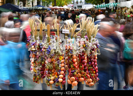 Weimar, Deutschland. Oktober 2017. Die traditionellen, geflochtenen Zwiebelsträucher hängen am 364. „Weimarer Zwiebelmarkt“ in Weimar am 13. Oktober 2017. Das berühmteste Volksfest Thüringens zieht bis zum 15. Oktober rund 300,000 Besucher an. Rund 500 Stände bieten die beliebten rot-weiß geflochtenen Zwiebelbündel, warme Zwiebeltorte, Thüringer Bratwurst, Getränke und Kunsthandwerk an. Quelle: Martin Schutt/dpa-Zentralbild/dpa/Alamy Live News Stockfoto