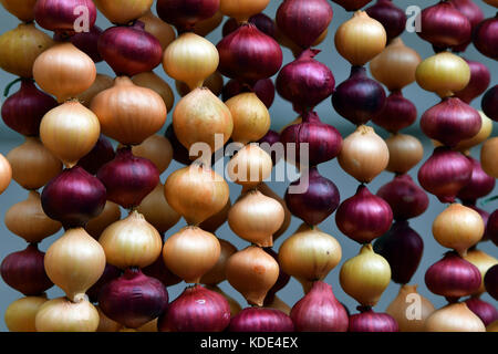 Weimar, Deutschland. Oktober 2017. Zwiebelketten sind an einem Marktstand während des 364. „Weimarer Zwiebelmarktes“ in Weimar am 13. Oktober 2017 zu sehen. Das berühmteste Volksfest Thüringens zieht bis zum 15. Oktober rund 300,000 Besucher an. Rund 500 Stände bieten die beliebten rot-weiß geflochtenen Zwiebelbündel, warme Zwiebeltorte, Thüringer Bratwurst, Getränke und Kunsthandwerk an. Quelle: Martin Schutt/dpa-Zentralbild/dpa/Alamy Live News Stockfoto