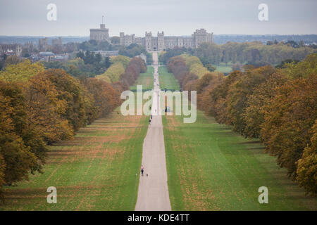 Windsor, Großbritannien. 13. Oktober 2017. Im Herbst Farben auf Reihen von Rosskastanie und London Platanen auf der Suche nach dem langen Spaziergang im Windsor Great Park in Richtung Schloss Windsor. Credit: Mark kerrison/alamy leben Nachrichten Stockfoto