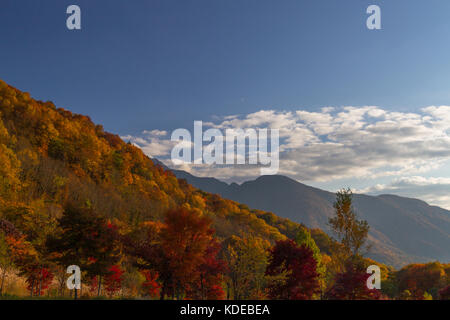 Birke und japanische Alpen Bergblick im frühen Herbst von Shin-hotaka Seilbahn in der Präfektur Gifu, Japan Stockfoto