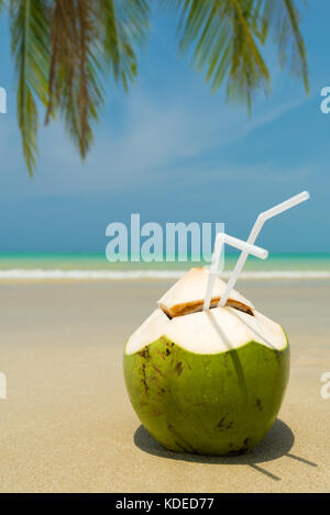 Frische junge Kokosnuss liegen auf dem Sand strand Hintergrund mit Stroh fertig zum Trinken. Stockfoto