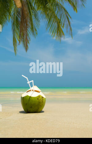 Frische junge Kokosnuss liegen auf dem Sand strand Hintergrund mit Stroh fertig zum Trinken. Stockfoto