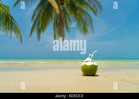 Frische junge Kokosnuss liegen auf dem Sand strand Hintergrund mit Stroh fertig zum Trinken. Stockfoto