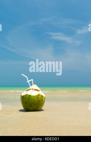 Frische junge Kokosnuss liegen auf dem Sand strand Hintergrund mit Stroh fertig zum Trinken. Stockfoto