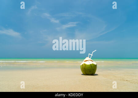 Frische junge Kokosnuss liegen auf dem Sand strand Hintergrund mit Stroh fertig zum Trinken. Stockfoto
