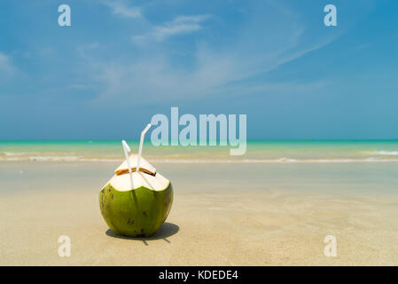 Frische junge Kokosnuss liegen auf dem Sand strand Hintergrund mit Stroh fertig zum Trinken. Stockfoto