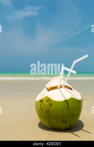 Frische junge Kokosnuss liegen auf dem Sand strand Hintergrund mit Stroh fertig zum Trinken. Stockfoto