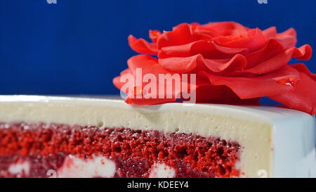 Weißer Kuchen mit Schokoladenornamenten und roter Marzipanrose auf dunkelblauem Hintergrund. Kuchen, dekoriert mit essbaren roten Rosen aus nächster Nähe Stockfoto