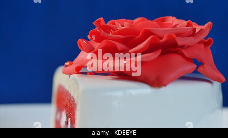 Weißer Kuchen mit Schokoladenornamenten und roter Marzipanrose auf dunkelblauem Hintergrund. Kuchen, dekoriert mit essbaren roten Rosen aus nächster Nähe Stockfoto